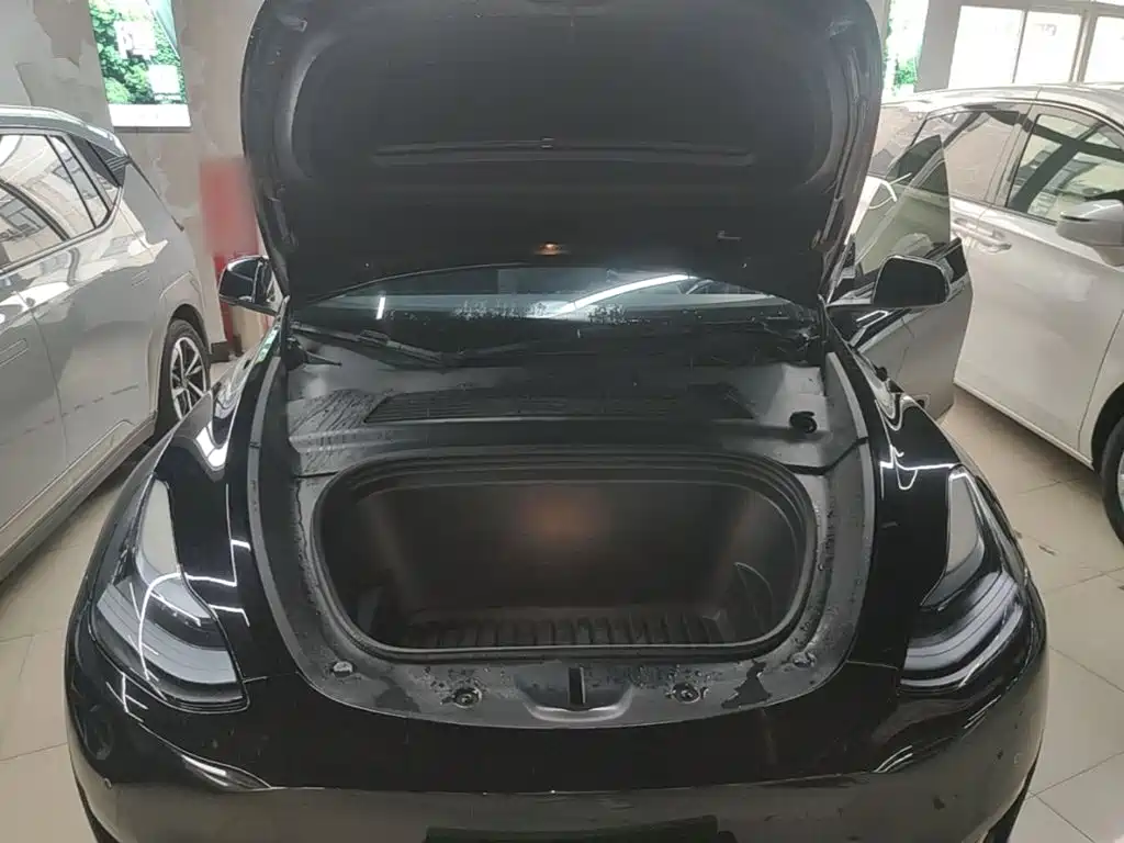 Tesla Model Y — миниатюра 20