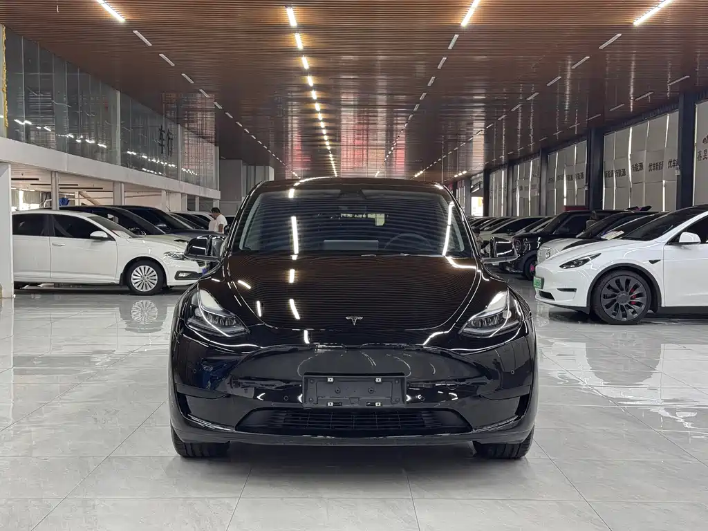 Tesla Model Y — миниатюра 2