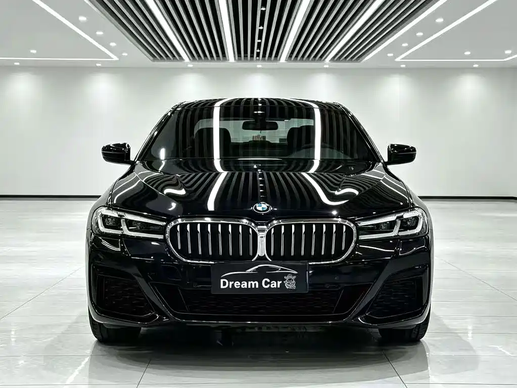 BMW 5 Series — миниатюра 2