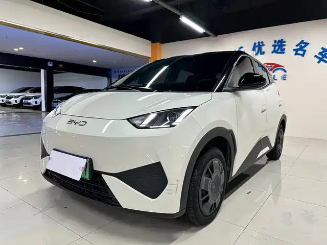 2025 BYD Seagull