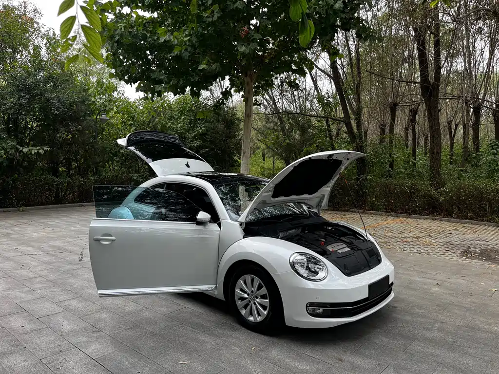 Volkswagen Beetle — миниатюра 16