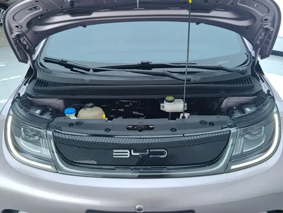 BYD Dolphin — миниатюра 10