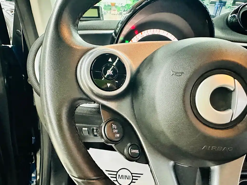Smart fortwo 1.0L 52 kW Hardtop Passion Edition China V, фото 38