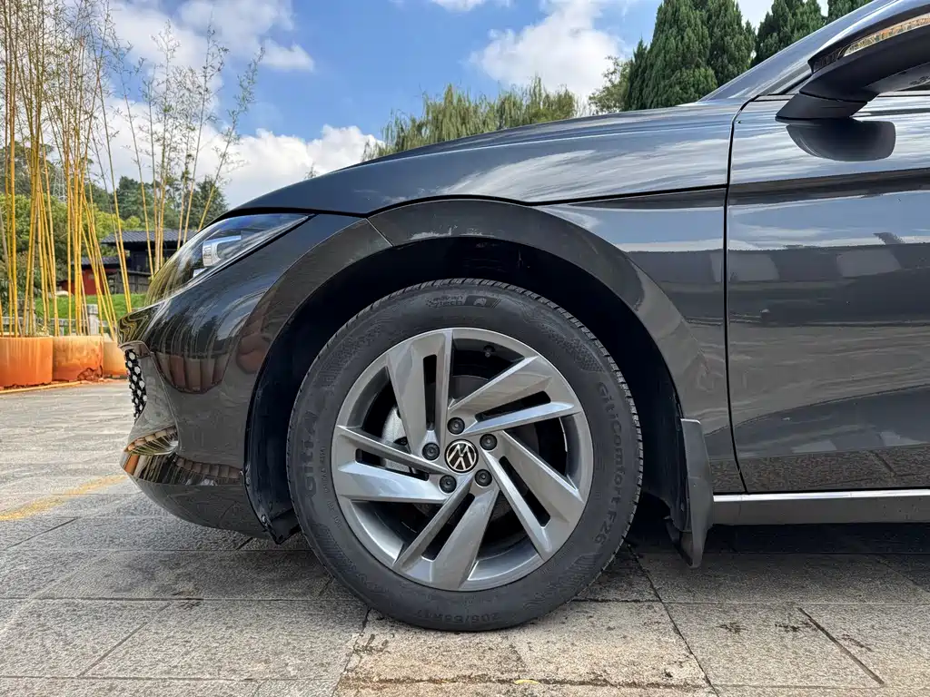 Volkswagen Lamando — миниатюра 11