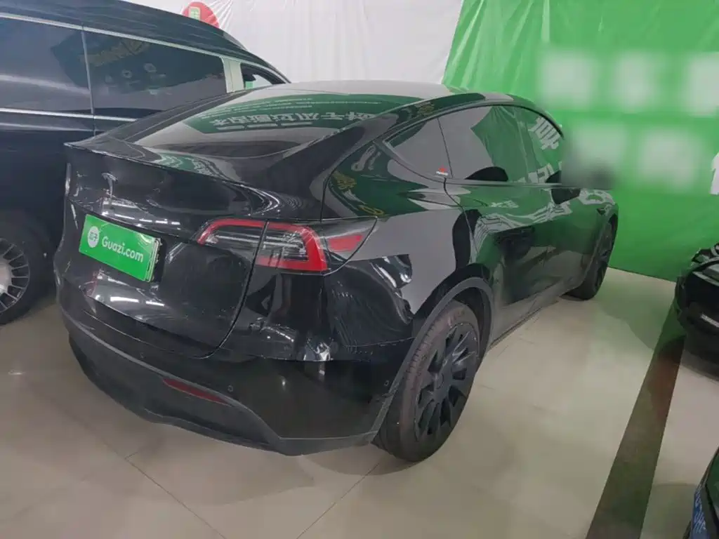Tesla Model Y — миниатюра 7