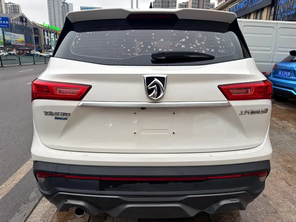 BAOJUN 530
