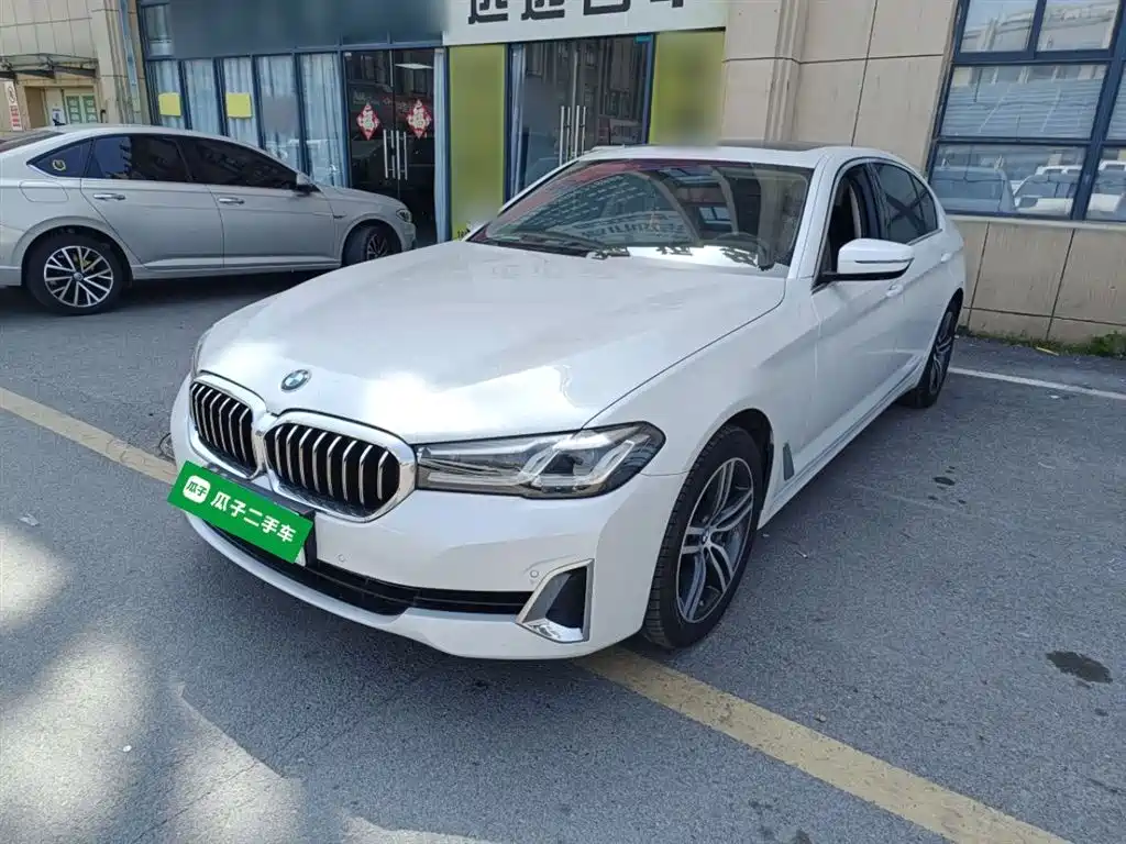 BMW 5 Series 5 2021 530Li Lead Luxury
