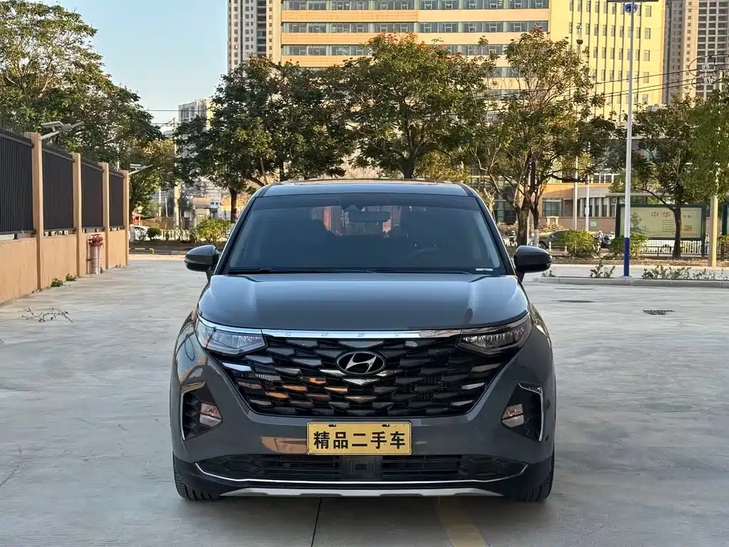 Hyundai Custo — миниатюра 2