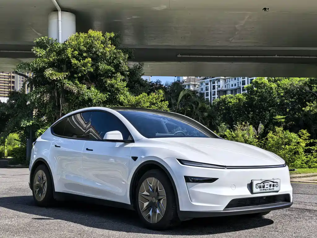 Tesla Model Y L — миниатюра 3