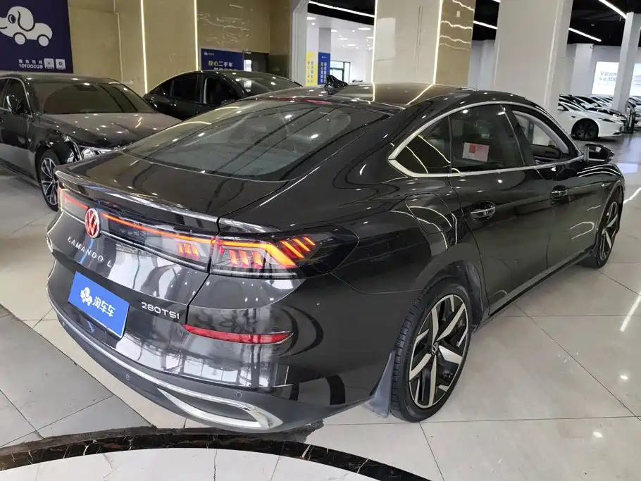 Volkswagen Lamando — миниатюра 3