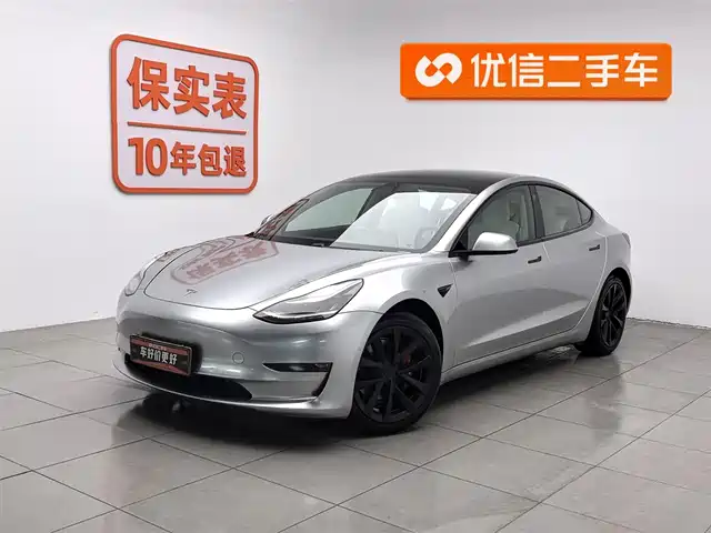 TESLA MODEL 3 2021