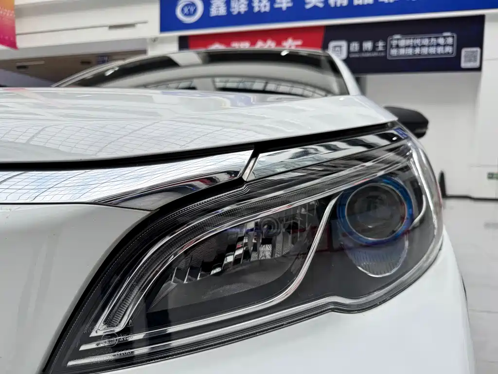 GEELY GEOMETRY EX3 KUNG FU COW