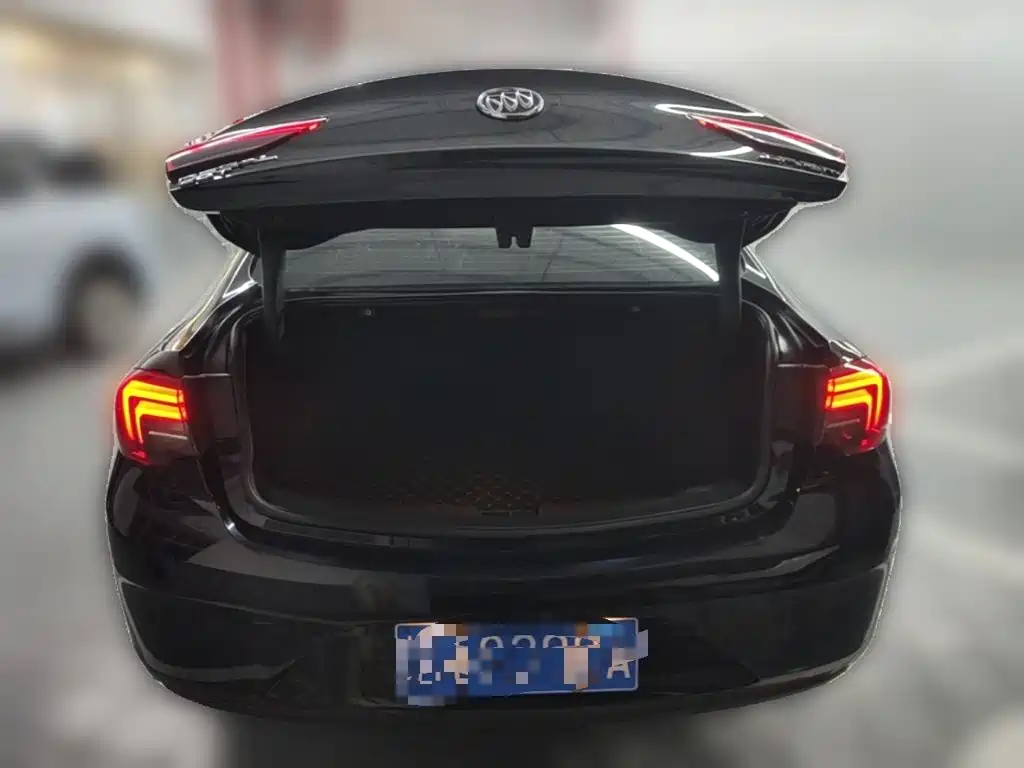 Buick Regal — миниатюра 24