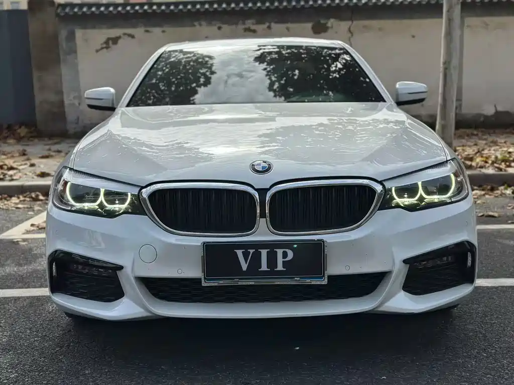 BMW 5 Series 5 2019 525Li M Sport
