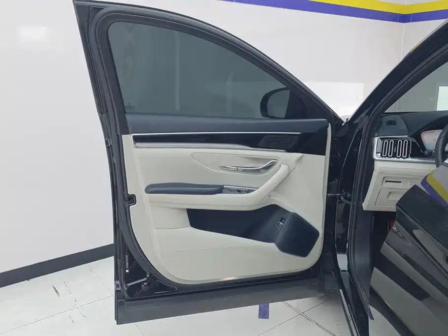 BYD PLUS New Energy — миниатюра 7