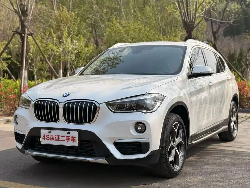 BMW X1 2019 xDrive20Li Premium