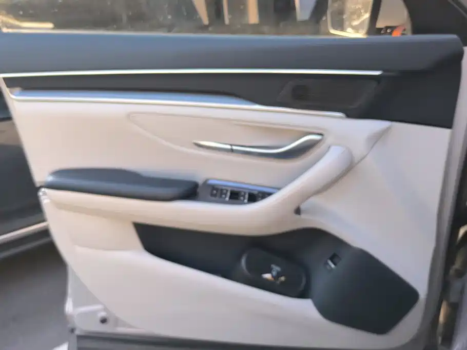 BYD PLUS New Energy — миниатюра 7