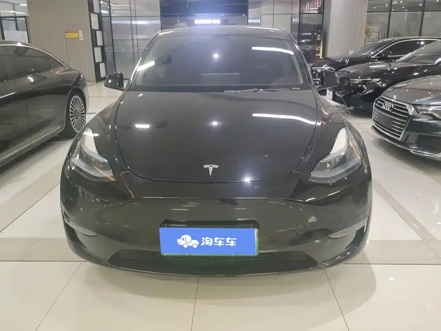 Tesla Model Y — миниатюра 2
