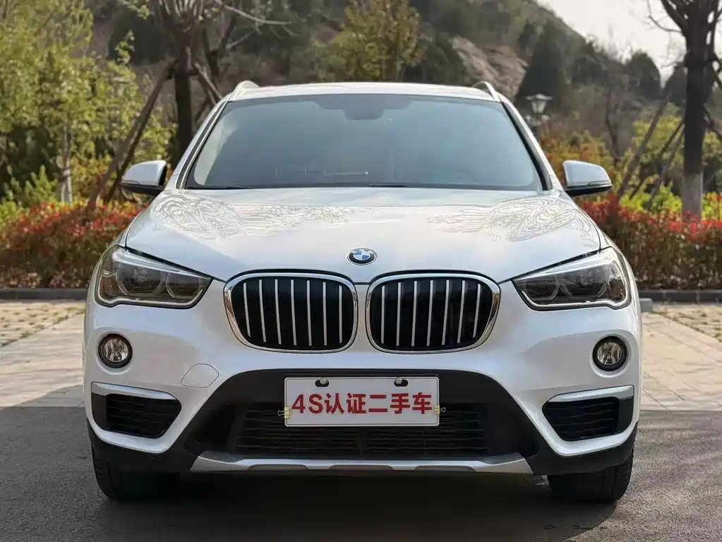 BMW X1 2019 xDrive20Li Premium