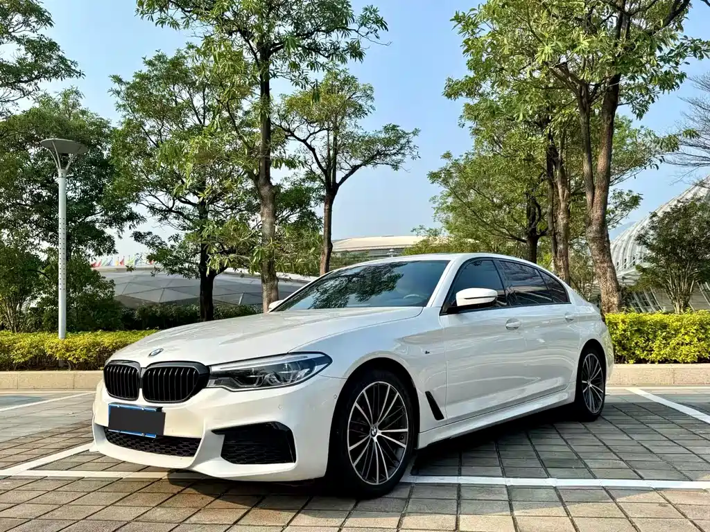 Купить BMW 5 Series