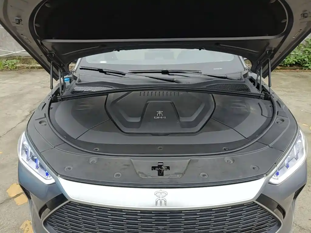 BYD PLUS New Energy — миниатюра 20
