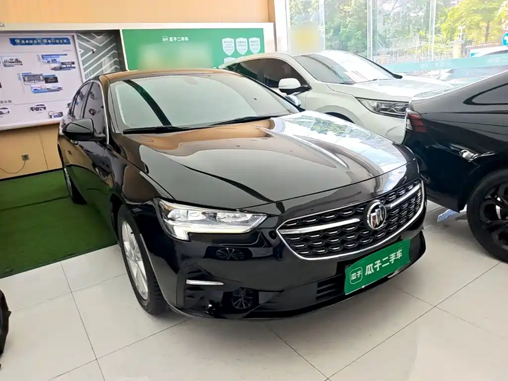 Buick Regal — миниатюра 22