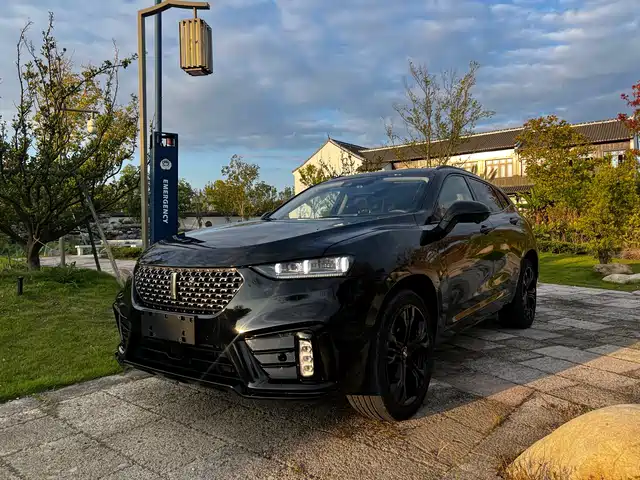 WEI PAI WEI BRAND VV7