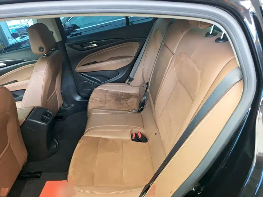 Buick Regal — миниатюра 13