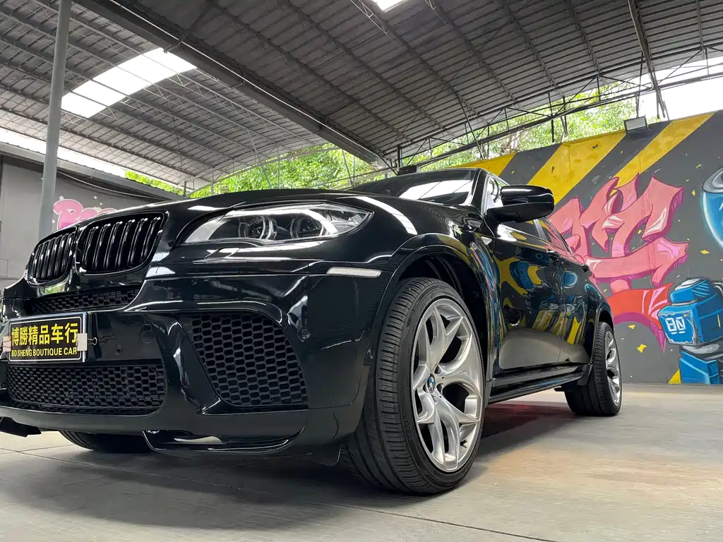 BMW X6 2009 xDrive35i