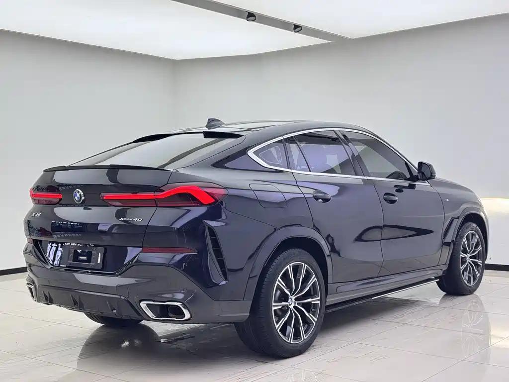 BMW X6 — миниатюра 3
