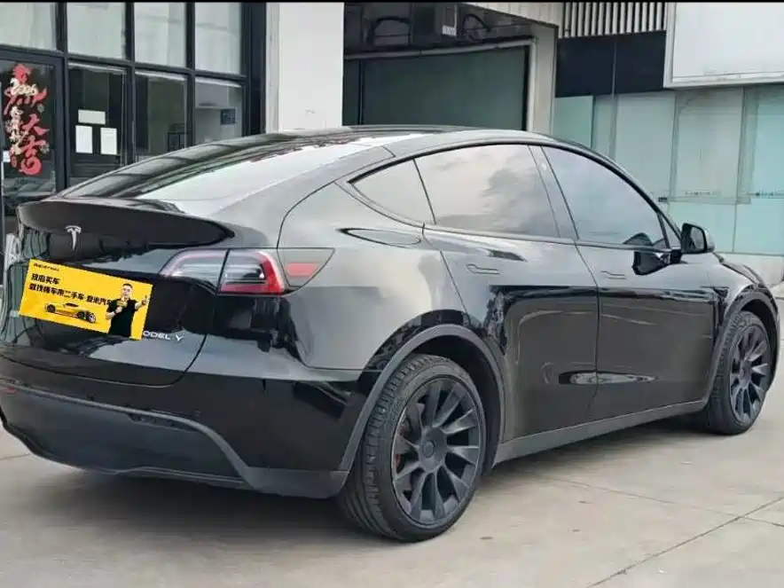 Tesla Model Y — миниатюра 2