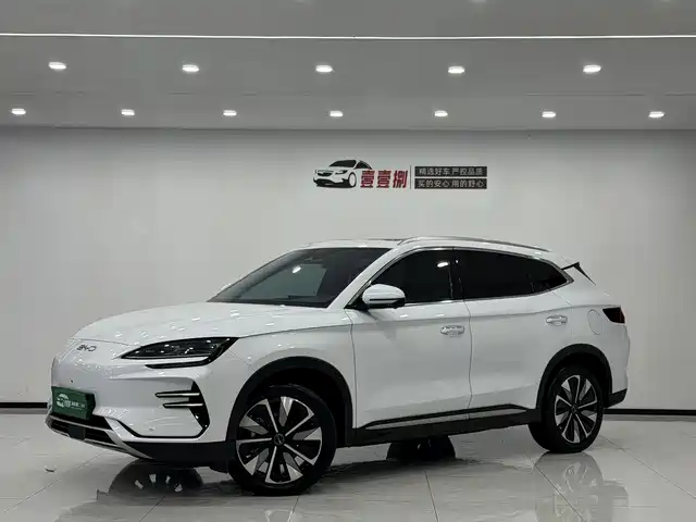 BYD SONGJIANG NEW ENERGY 2024