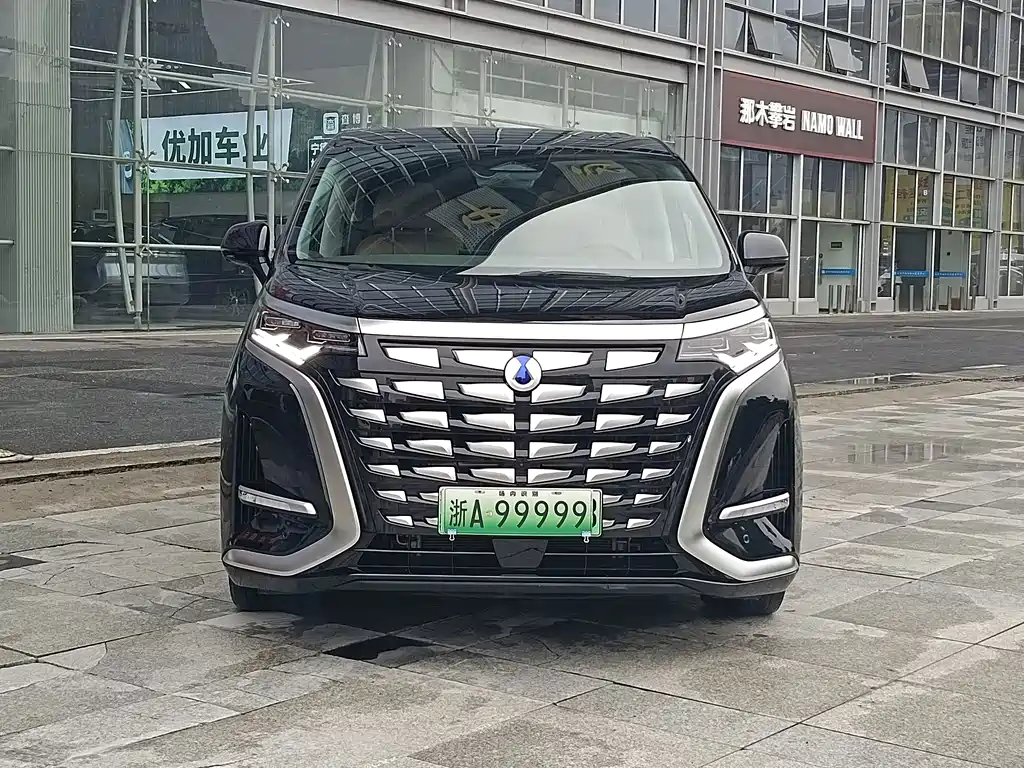 Denza Denza D9 — миниатюра 2