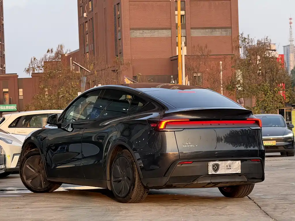 Tesla Model Y — миниатюра 7