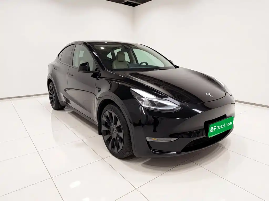 Tesla Model Y — миниатюра 3