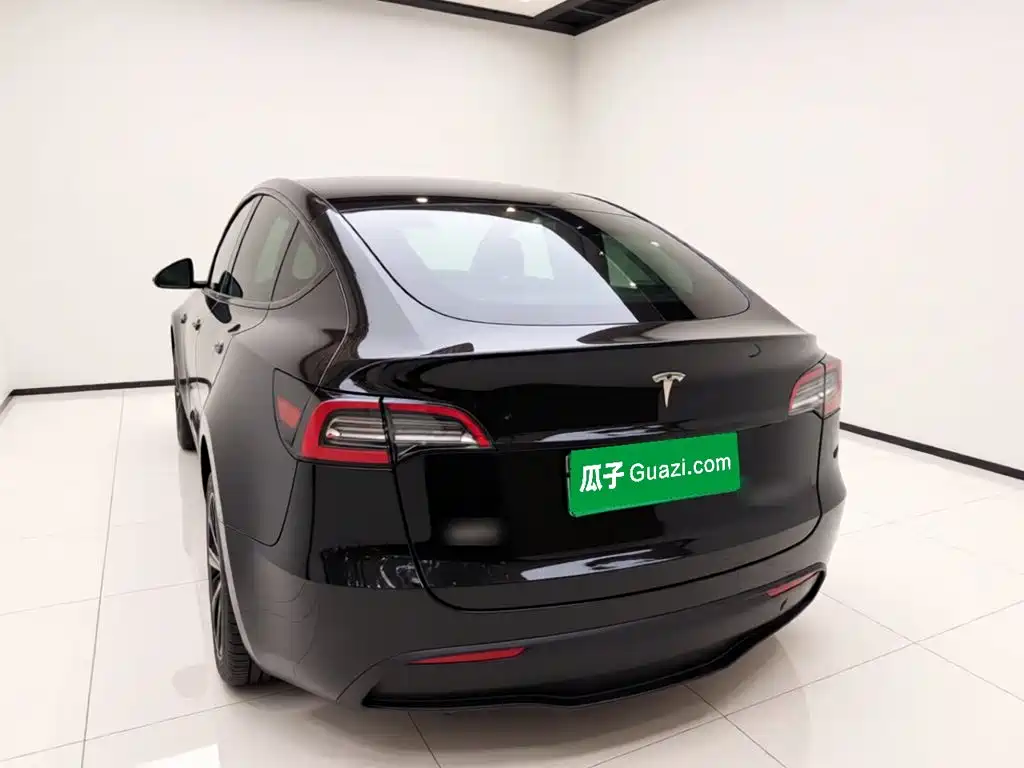 Tesla Model Y — миниатюра 5