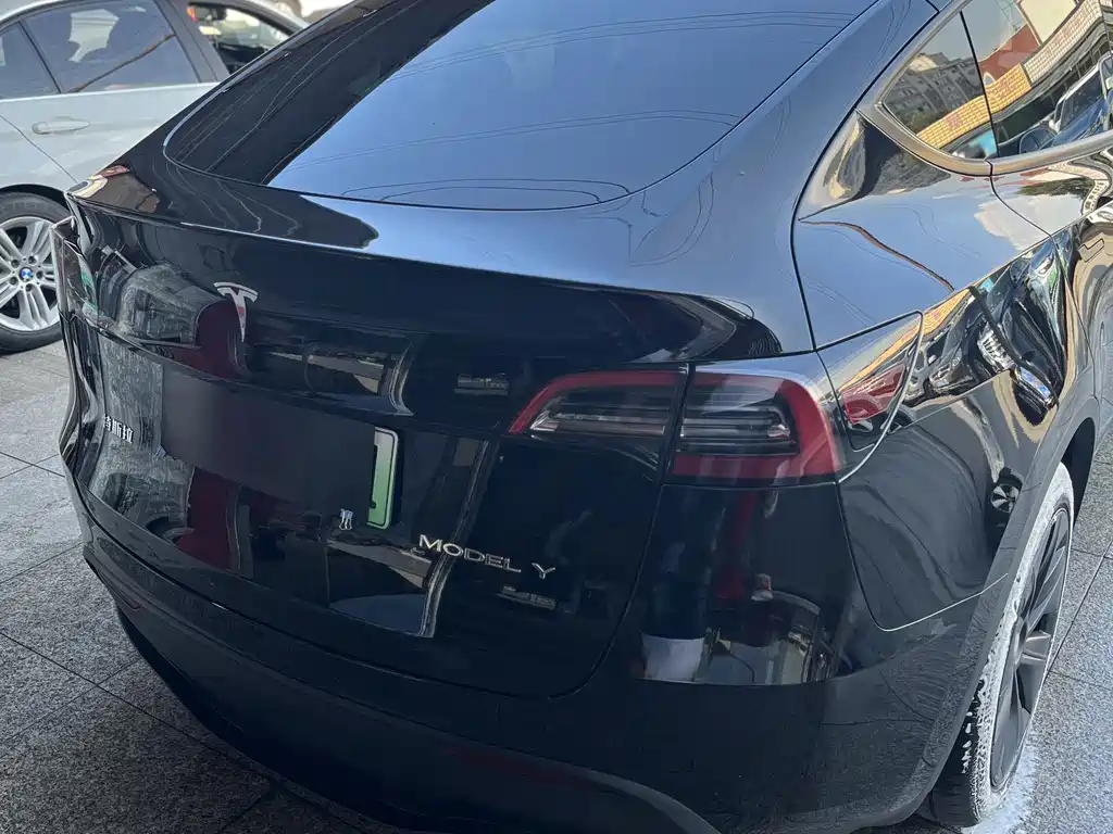 Tesla Model Y — миниатюра 6