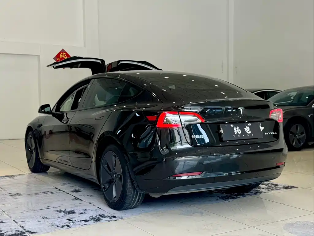 Tesla Model 3 — миниатюра 13