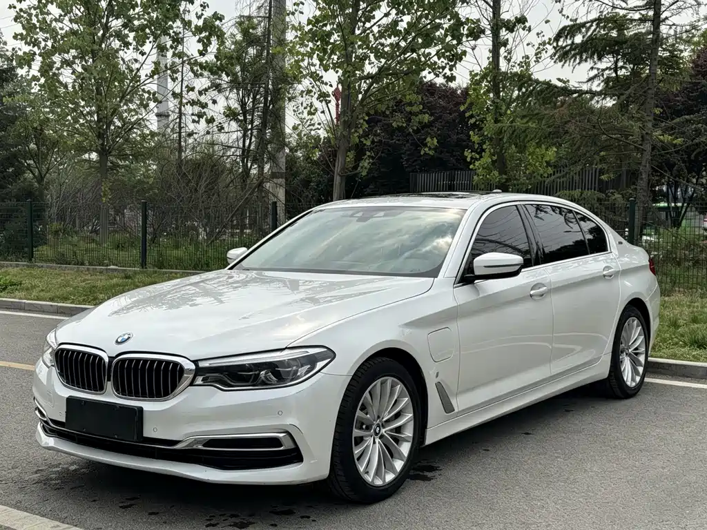 BMW 5 Series New Energy 2019