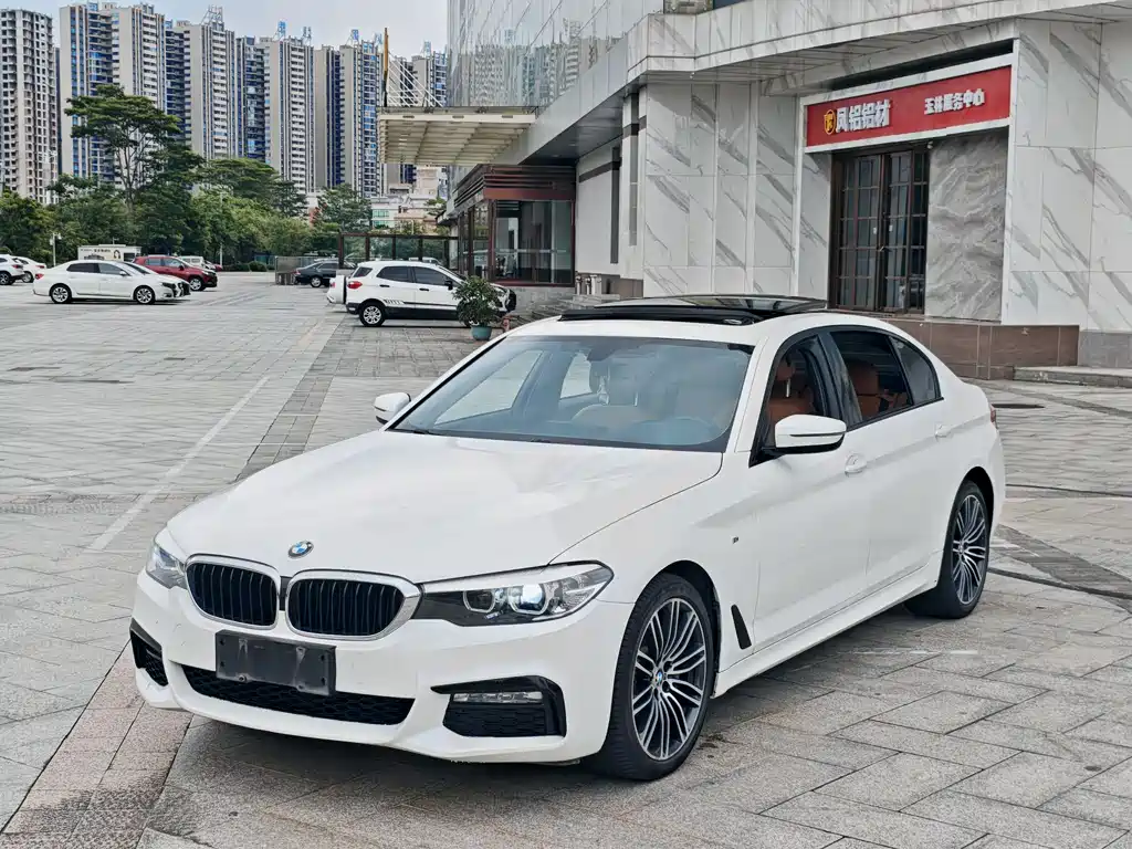 BMW 5 Series 2018 530Li xDrive M Sport Package