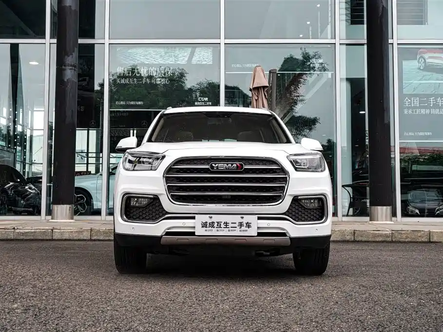 MUSTANG MOTORS MUSTANG T80