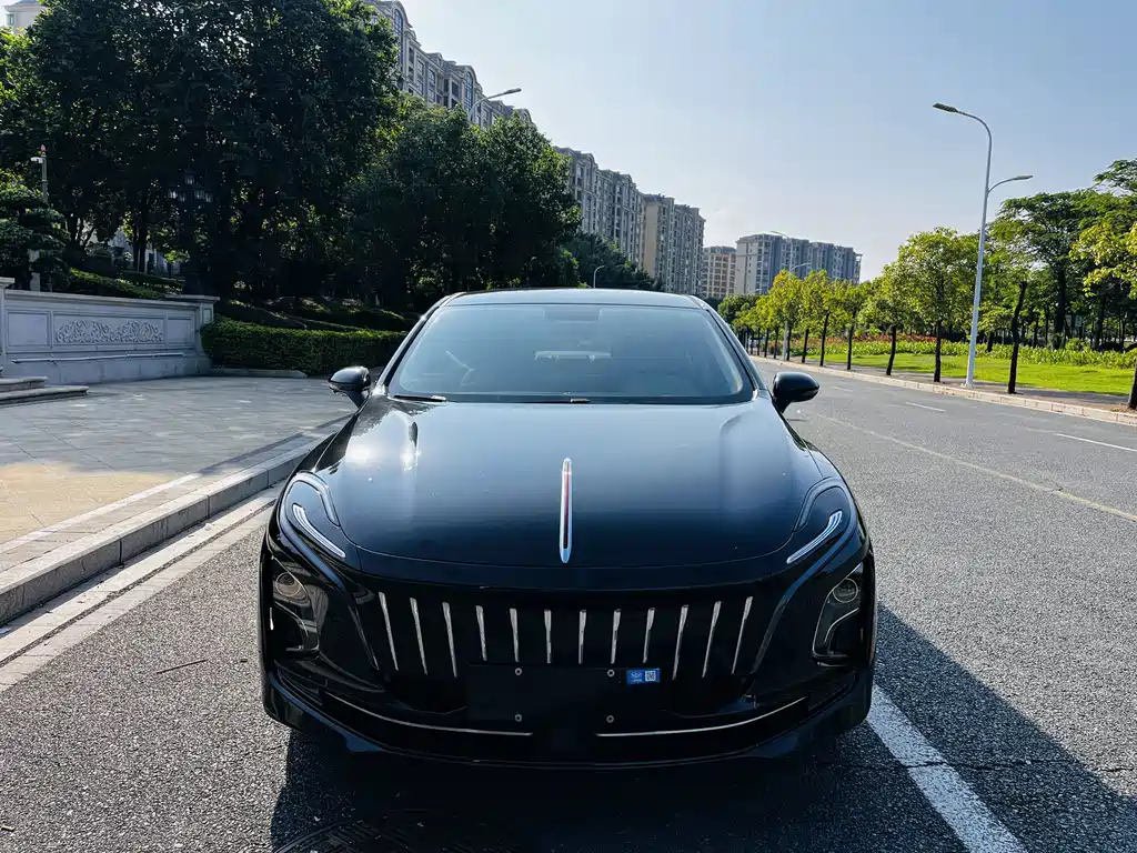 Hongqi Hongqi E-QM5 — миниатюра 2