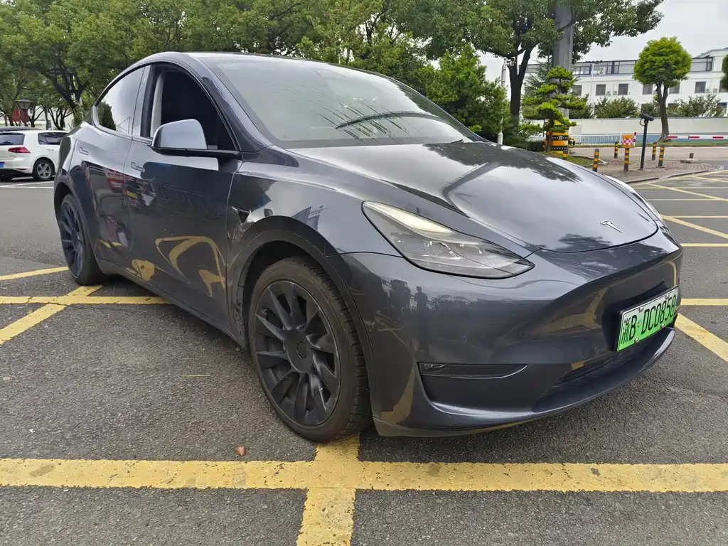 Tesla Model Y — миниатюра 3