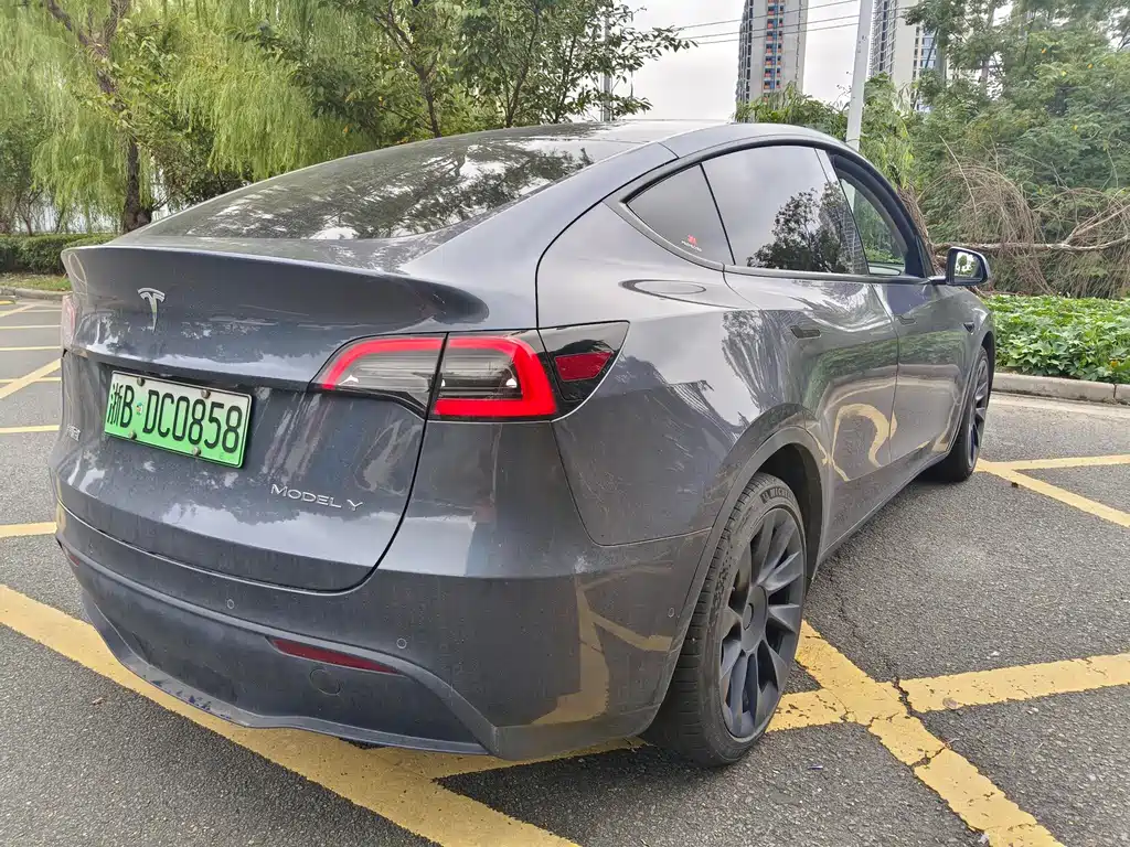 Tesla Model Y — миниатюра 4