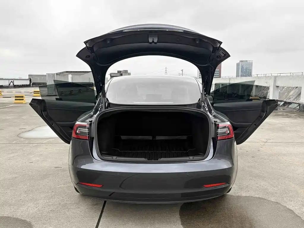 Tesla Model 3 — миниатюра 14