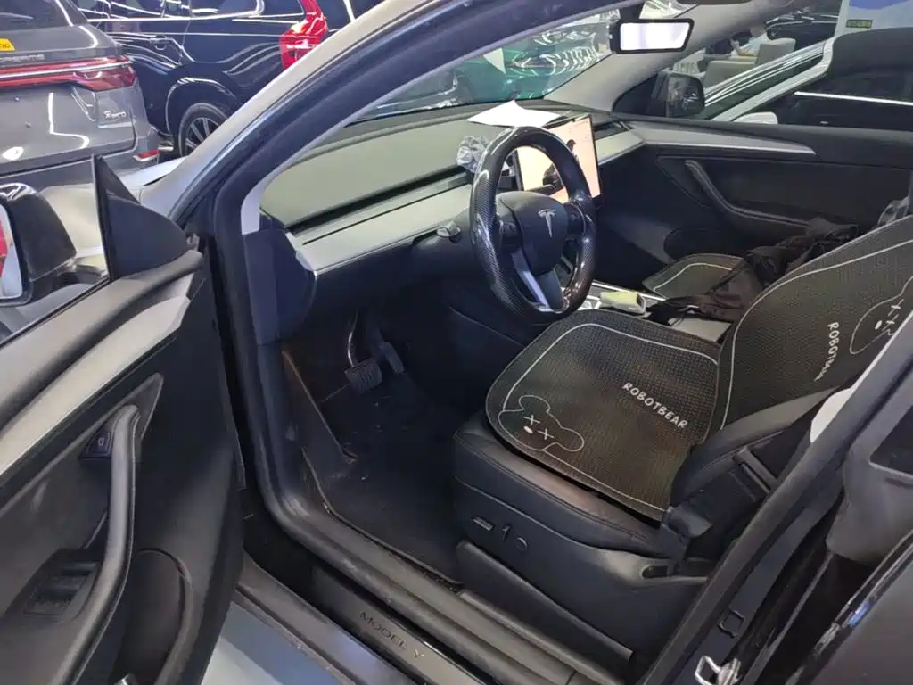 Tesla Model Y — миниатюра 16