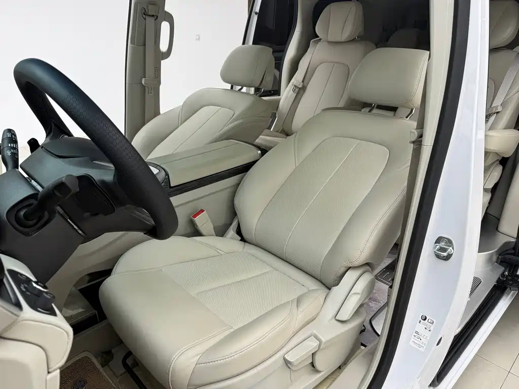 Buick GL8 — миниатюра 10