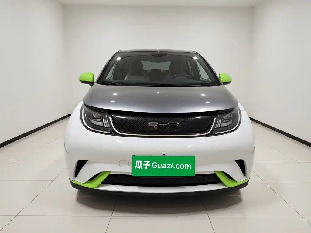 BYD Dolphin — миниатюра 2