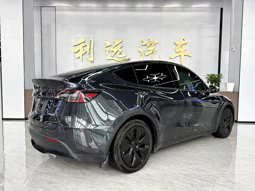 Tesla Model Y — миниатюра 15