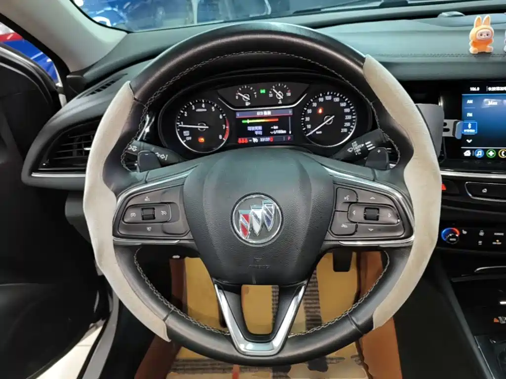 Buick Regal — миниатюра 11